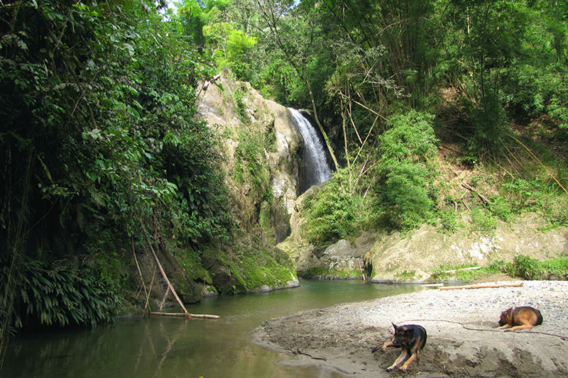 Highlands Waterfall, Tobago